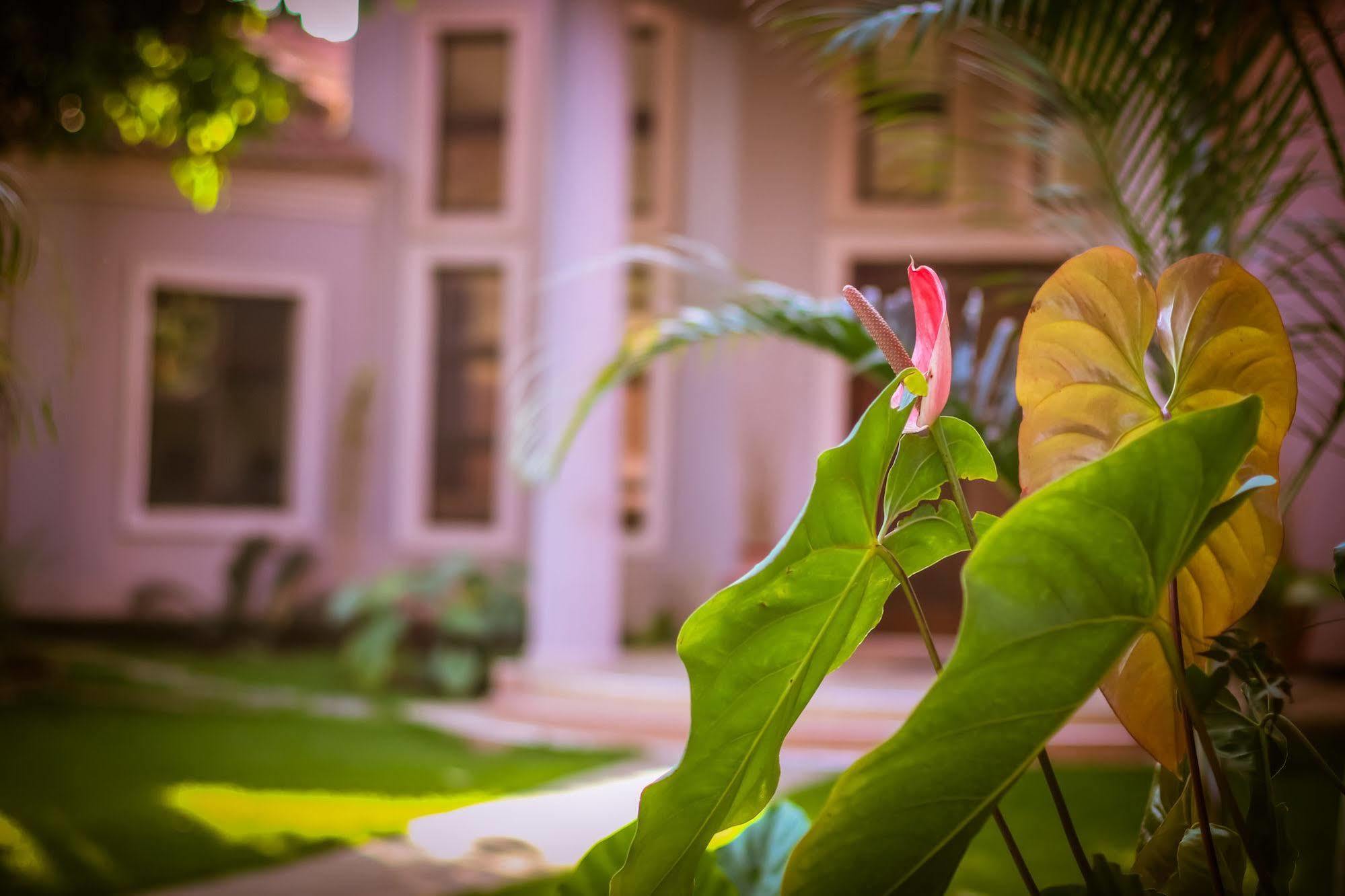 Zawadi House Lodge Аруша Екстер'єр фото